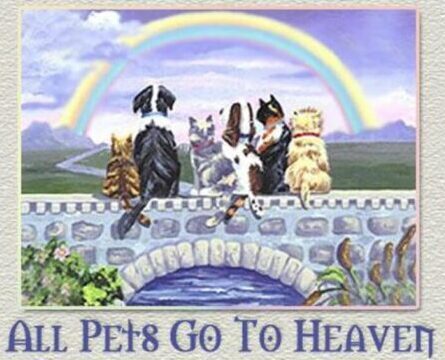 Do pets go to heaven