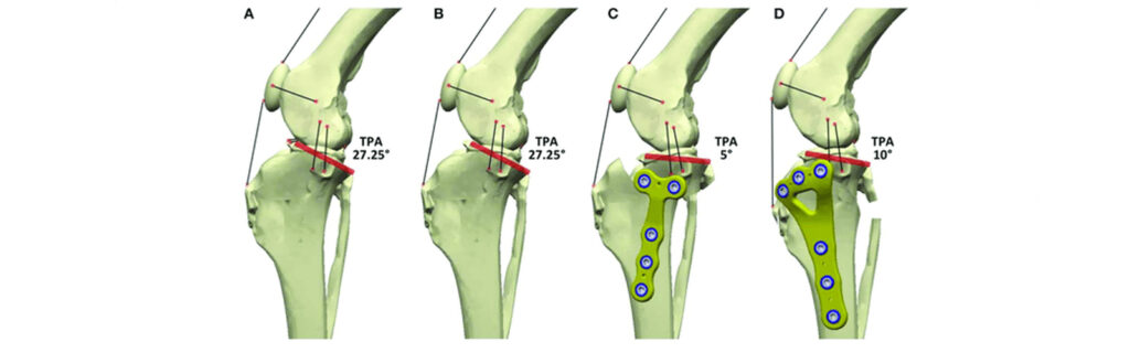Orthopedic Image